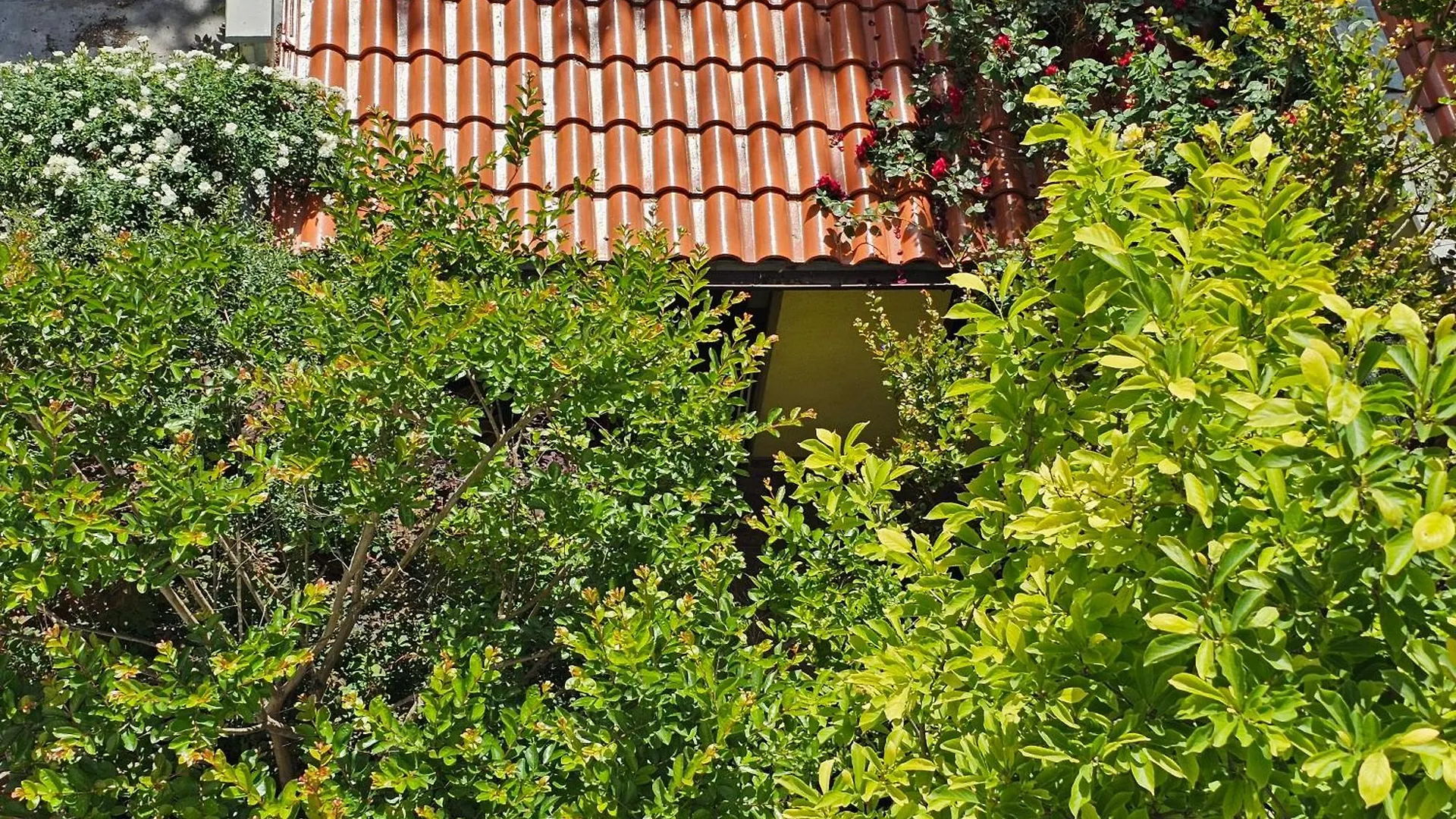 Cozy Place - В Центъра, Само На 5 Минути Пеша От Плажа Burgas Bulgaria